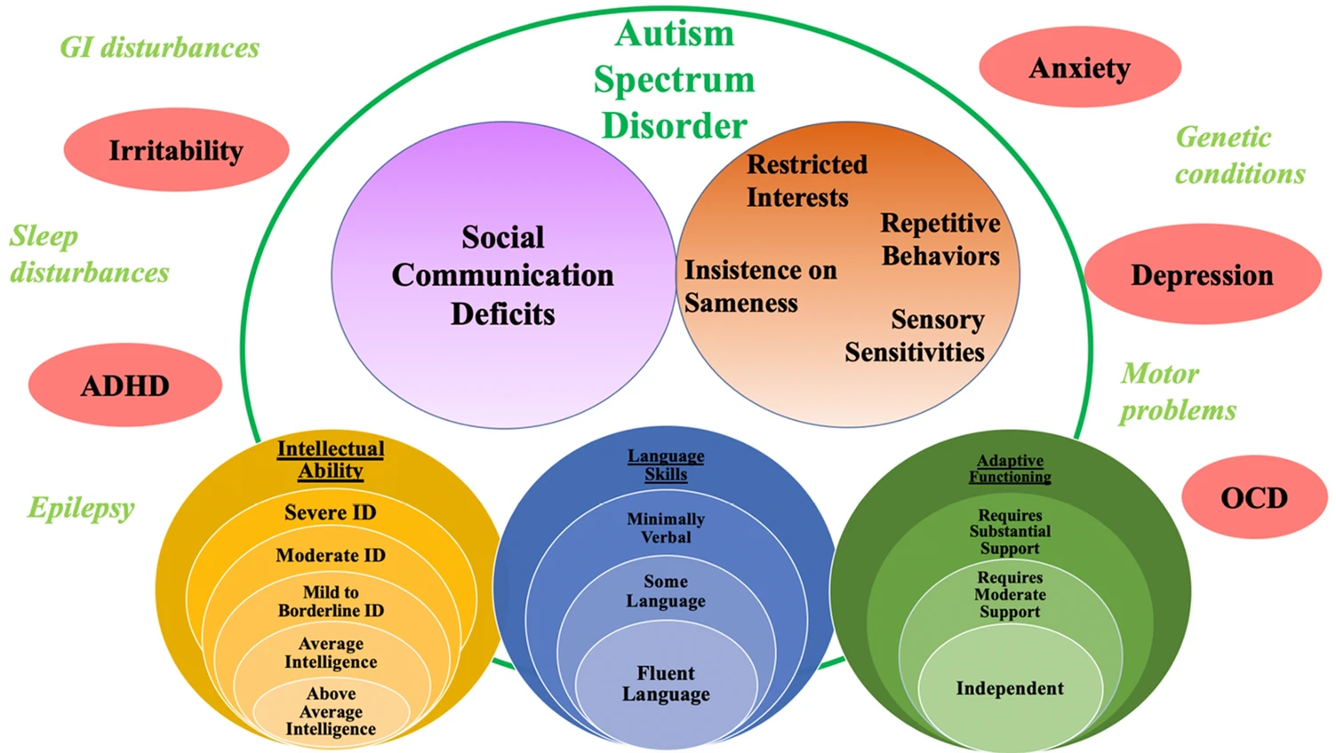 Autism Spectrum Disorder Chart - ADHD, Irritability, Anxiety, Depression, OCD