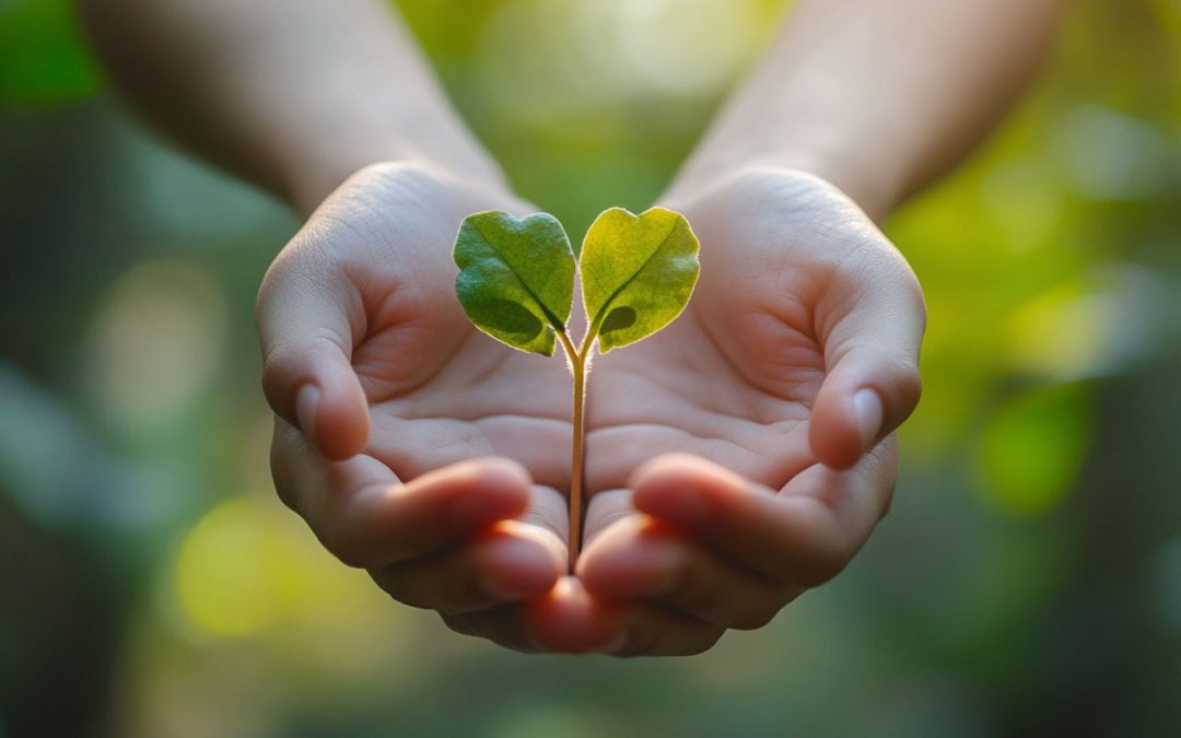 From Self-Awareness to Self-Compassion: Building Inner Kindness